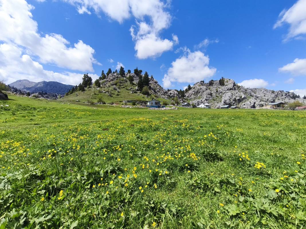 Konya’nın ünlü yaylasında baharın renkli yüzü çıktı 9